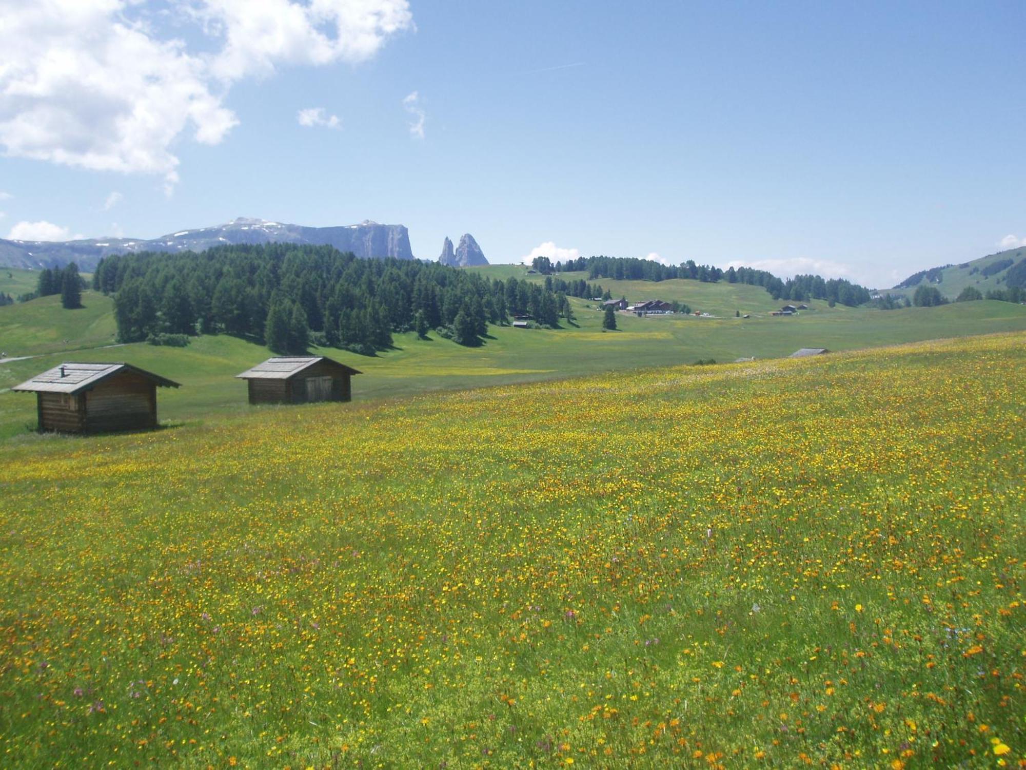 La Majon Apartments Selva di Val Gardena Rum bild