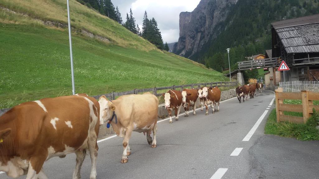 La Majon Apartments Selva di Val Gardena Exteriör bild