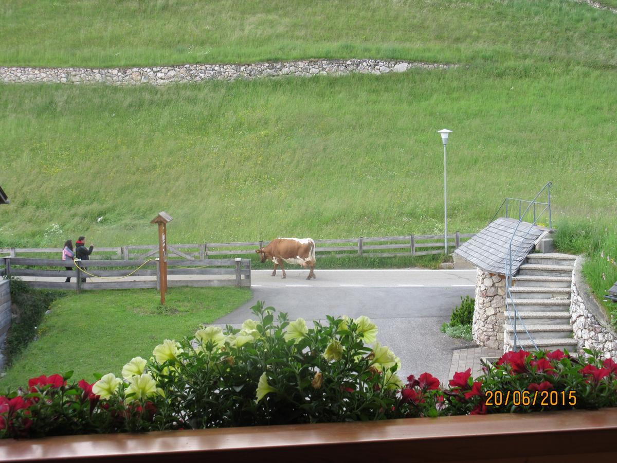 La Majon Apartments Selva di Val Gardena Exteriör bild
